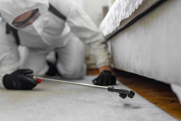 Professional Bed Bug Control technician working in Sidney, IL