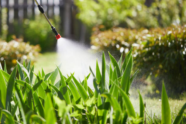 24/7 Emergency Bed Bug Control experts in Sidney, IL
