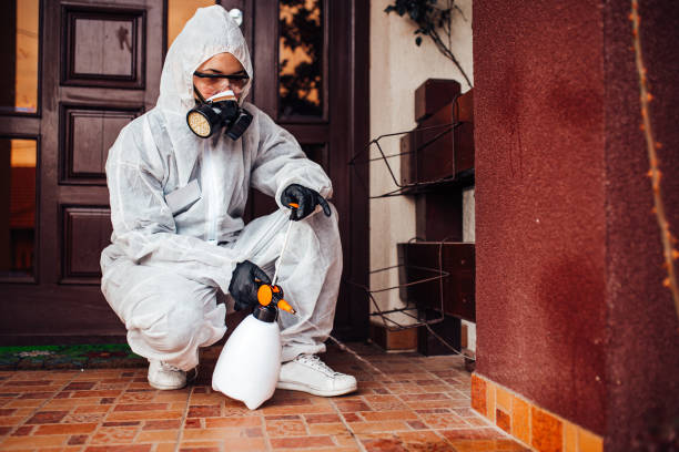 Reliable Bed Bug Control contractor in Sidney, IL by Nex Pest Control
